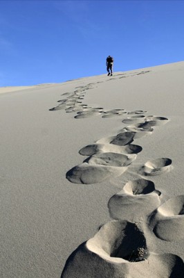 ​Le Carême :<br> un temps favorable à la vie chrétienne