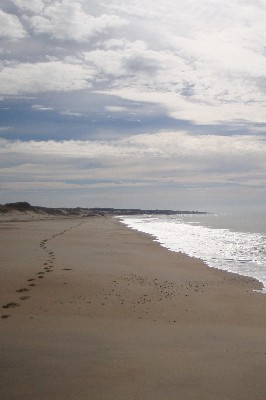 Le Carême est une marche vers<br> une Bonne Nouvelle Le Carême est une marche vers<br> une Bonne Nouvelle