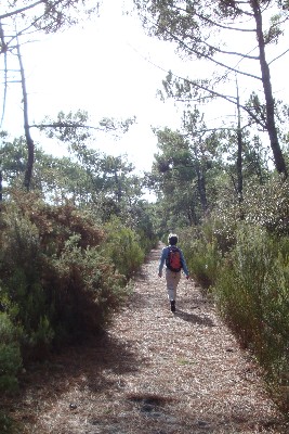 ​Le Carême : un chemin pour tous,<br> jeunes et adultes